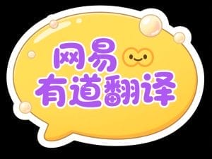 有道翻译全平台支付方式详解：从免费体验到VIP会员及API服务