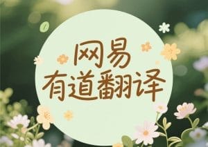 有道翻译不仅能聊天自动翻译，还支持应用多开非常方便！