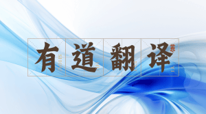 有道翻译跨境电商助手：解决语言沟通与物流协调难题，助力销售提升