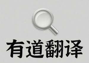快速翻译的终极指南